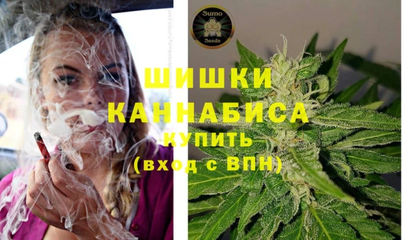 стафф Корсаков