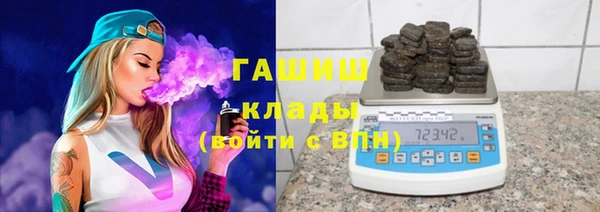 стафф Корсаков