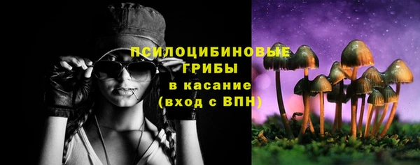 дмт Костерёво