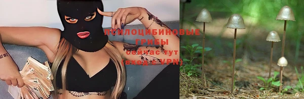 стафф Корсаков