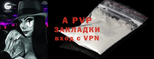 стафф Корсаков