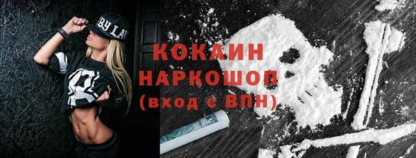 стафф Корсаков