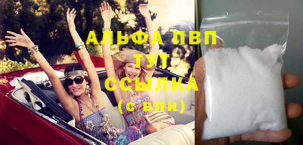 стафф Корсаков