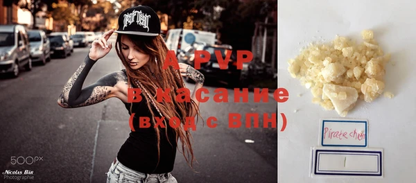 стафф Корсаков