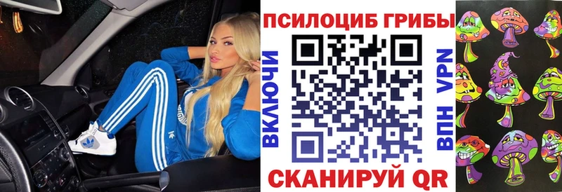 Псилоцибиновые грибы MAGIC MUSHROOMS  Мещовск 